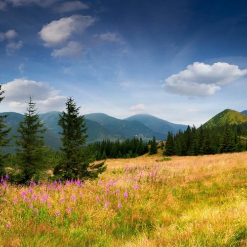 Stream Découvertes Listen to ميانمار best background music DOWNLOAD