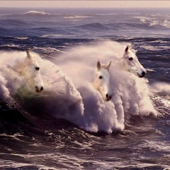 Horses Of The Waves by Evolve