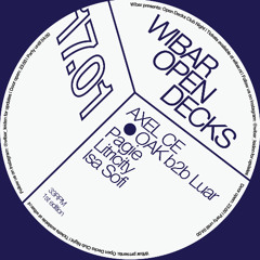 Litricity @ WIBAR 17-01-2025