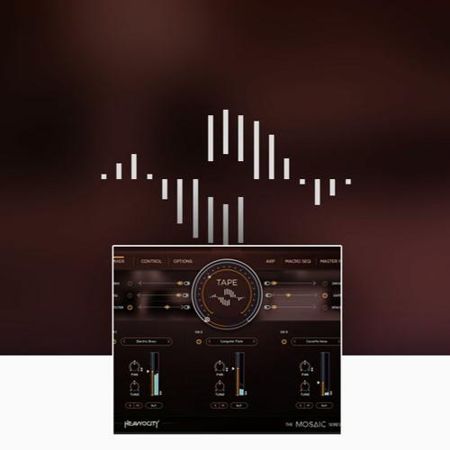 Good Old Time Reverser - Tobias Menguser (Mosaic Tape Only)