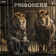 Prisoners Baaghi