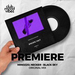 PREMIERE: Minozzo, Necker ─ Black Sky (Original Mix) [Bullfinch]
