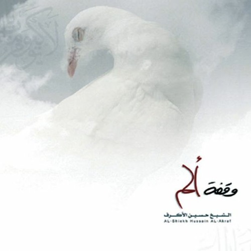 وقفة على الأنصار - الشيخ حسين الأكرف