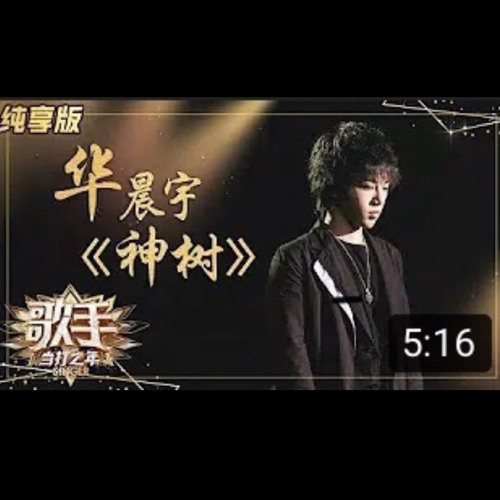 华晨宇 - 神树