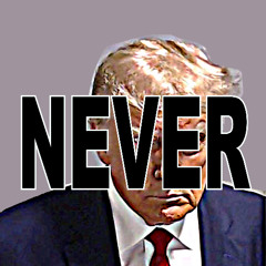 NeverNeverNever