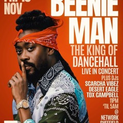 Beenie Man Promo Mix 2024 - Desert Eagle Sound 🦅🦅🦅