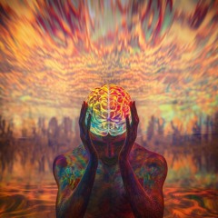 𝒯ℯ𝒸𝒽𝓃ℴ🪄