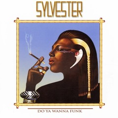 Patrick Cowley feat Sylvester - Do You Wanna Funk (Good Lovin  Megamix)