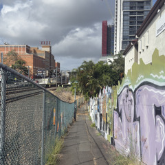 shake dat (alternate version)