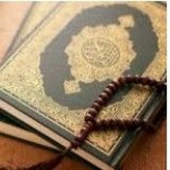 مقطع سورة العنكبوت زكريا .mp3