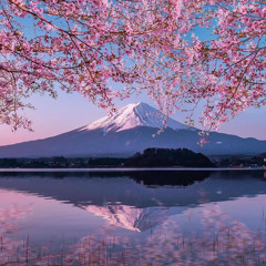 Blind Love (Shortened Version)