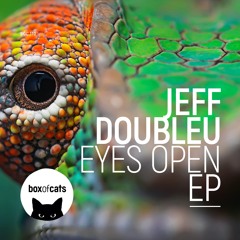 Jeff Doubleu - The Room (BOC110)