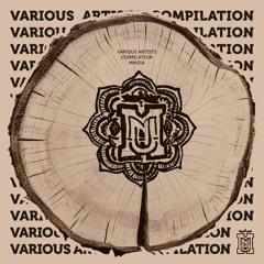Various Artists Compilation [Muna Musik 014]