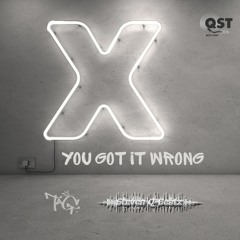You Got It Wrong (feat. TAG & Steven Q-Beatz)