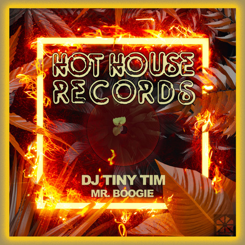 Mr. Boogie (Radio-Edit)