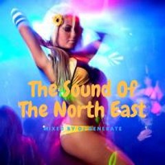 Sounds Of The North East Makina Classics