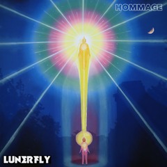 Lunerfly - Hommage (Original Mix)