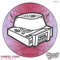 Gabriel Evoke - Justice [Slightly Sizzled White]