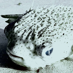 𝐝𝐎 𝐢𝐓 𝐟𝐎𝐫 𝐦𝐄, 𝐉𝐮𝐒𝐓 𝐟𝐎𝐑 𝐧𝐎𝐖 (93bpm)
