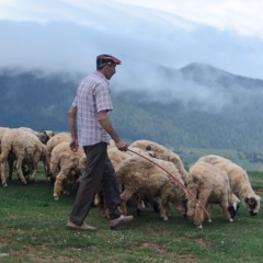 The Lord Is My Shepherd (Psalm 23)