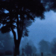 lines (p. luffysome x sorrow bringer)