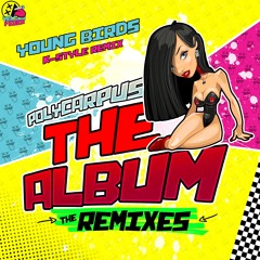 Polycarpus - Young Birds (K-Style Remix)