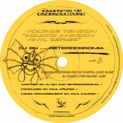 PREMIERE // DJ BN And Heterochromia - Break The Cage [Voltage Tension]