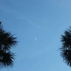 Recharge-Derrick Streibig