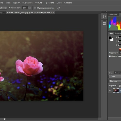 Какой вид графики используется в adobe photoshop