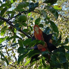The Apple Orchard Extract 2