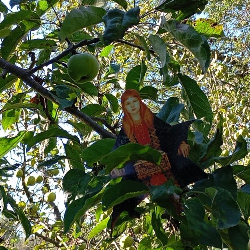 The Apple Orchard Extract 2