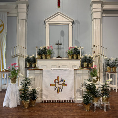 November 2 - Salvation Has Come