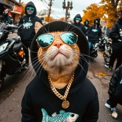 20250719 貝塔餐酒館 Beta bistro