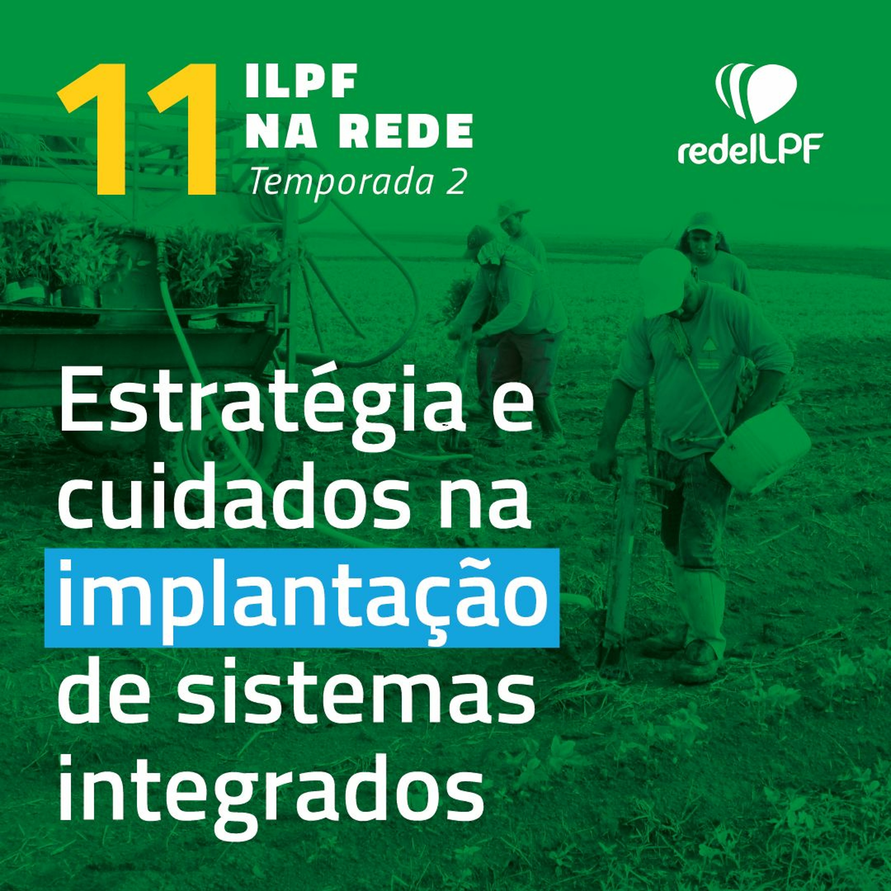 ILPF Na Rede