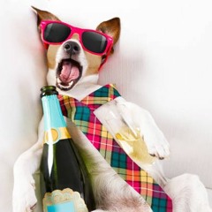 Puppy Pawty Mix May 2023