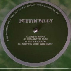 DON'T YOU WANT SOME MORE / PUFFIN BILLY / BONESBREAKS MASTERMIX