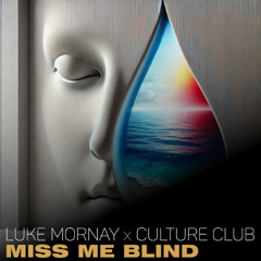 Luke Mornay vs Culture Club - Miss me Blind