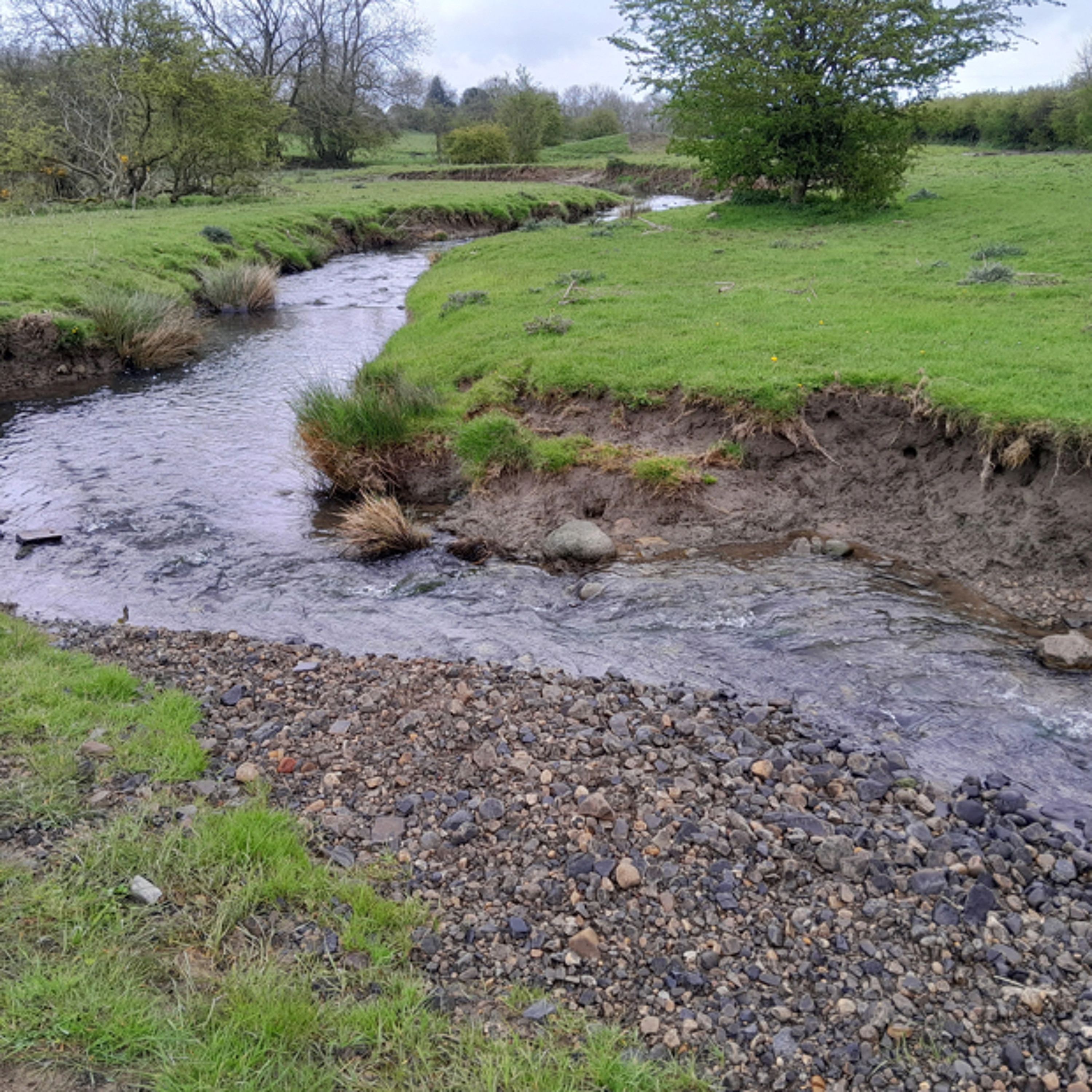 Local News Headlines - Wednesday, 1 May 2024