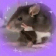 🐁𝐆𝐨𝐨𝐝 𝐬𝐨𝐧𝐠𝐬 ¹³🐀