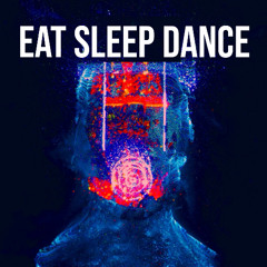 Fatboy Slim - EAT SLEEP RAVE REPEAT (UNOFFICIAL)