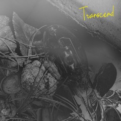 NO SIGNAL - Transcend [Demo] (Prod. Nomad Fox)