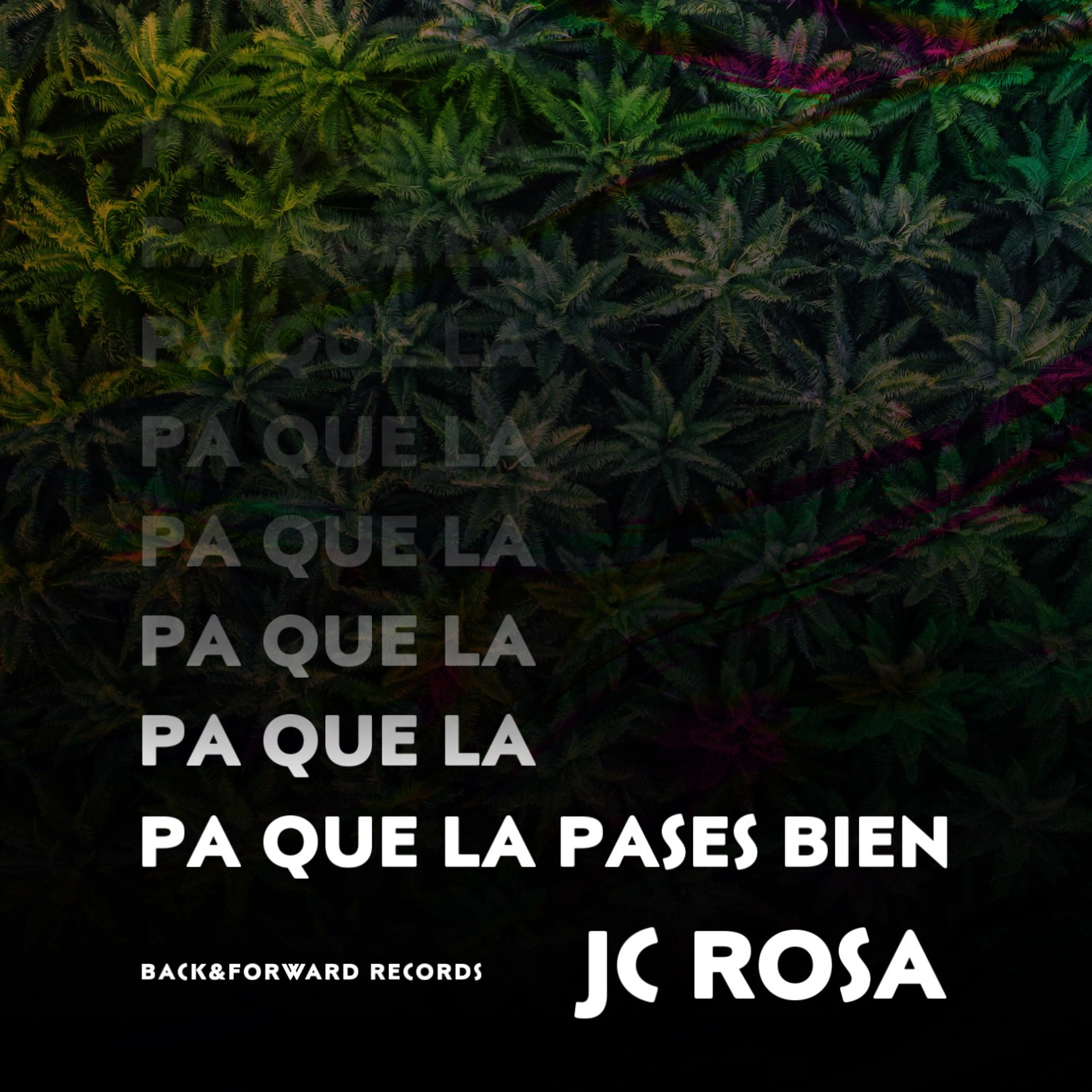 JC Rosa: Mood Rosa