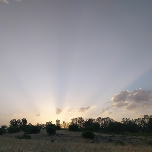 "Changa Manga" Outdoor - "Morning at Jordan river" - 28/05/2022