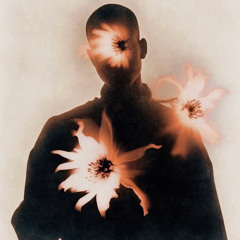 LAK MẤT NƯỚC MẮT V3 - FULL 3H ZALO 0984391725