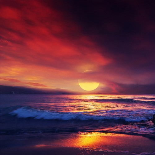 Where The Ocean's Free