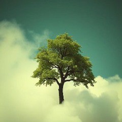 Money Tree (1).wav