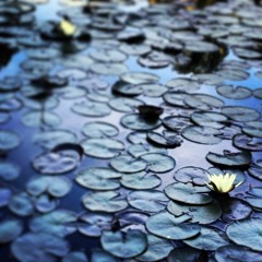 Relaxation Meditation - The Night River (Remastered)
