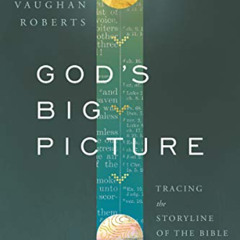 GET EBOOK 📚 God's Big Picture: Tracing the Storyline of the Bible by  Vaughan Robert