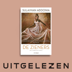 Angelo Tijssens over De zieners van Sulaiman Addonia