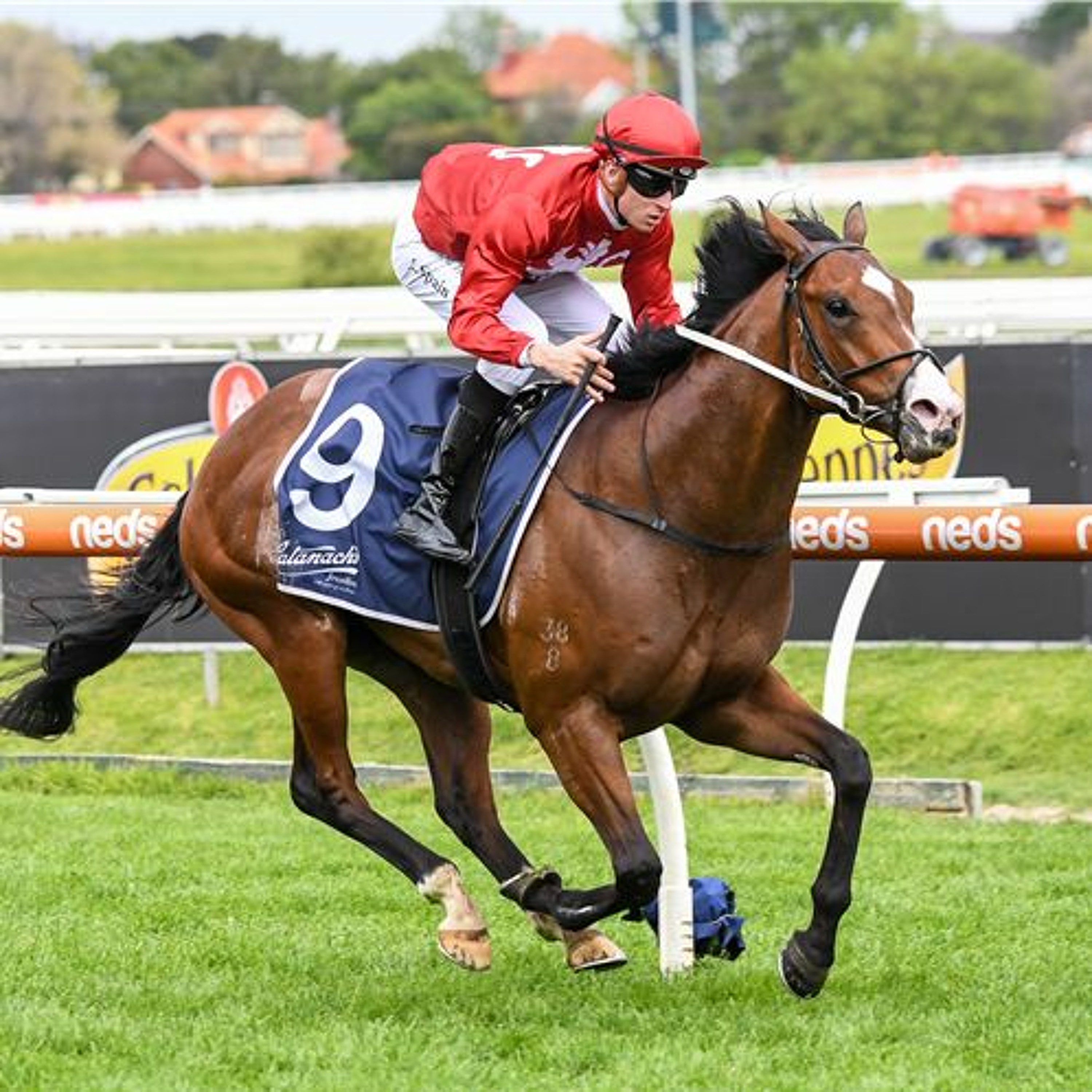 Derby Day Punting Preview